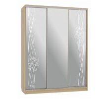 Шкаф-купе Бассо 4-600 волны 2