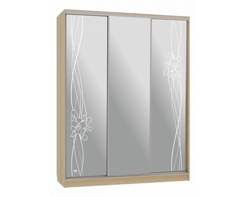 Шкаф-купе Бассо 4-600 волны 2