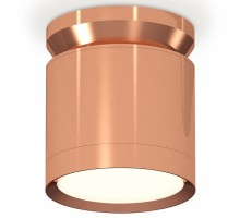 Накладной светильник Ambrella Light XS XS8122035