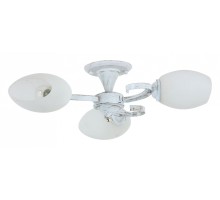 Люстра на штанге Rivoli Vitto Б0044464