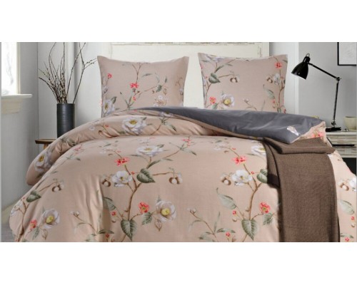 Постельное белье евростандарт CL-324