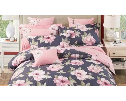 Постельное белье евростандарт RS-272