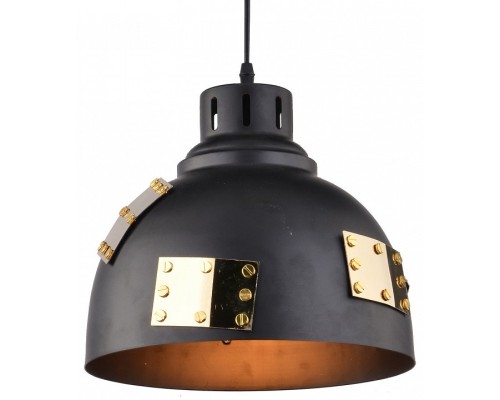 Подвесной светильник Arte Lamp Eurica A6024SP-1BK