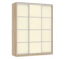 Шкаф-купе Бассо 2-600