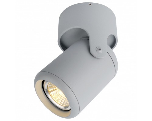 Светильник на штанге Arte Lamp 3316 A3316PL-1GY