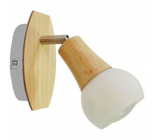 Спот LGO Chandler 