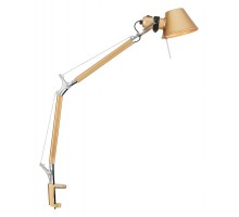 Настольная лампа офисная Favourite Legend 2840-1T