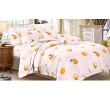 Постельное белье семейное Art Color Абстракция