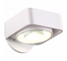 Бра Odeon Light Paco 3889/6WW