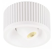 Накладной светильник SLV Occuildas 117361