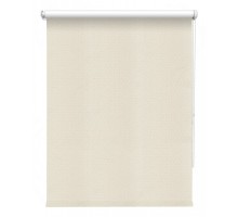 Штора рулонная (180x175 см) Эшер