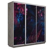 Шкаф-купе Экспресс Фото трио 1004 2400x600x2200