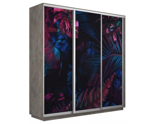 Шкаф-купе Экспресс Фото трио 1004 2400x600x2200