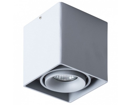 Накладной светильник Arte Lamp Pictor A5654PL-1GY