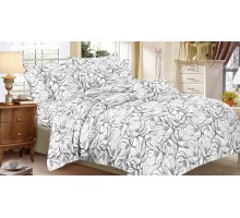 Постельное белье полутораспальное Art Color 078-AC