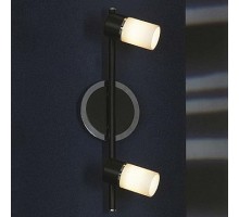 Спот Lussole Siliqua 