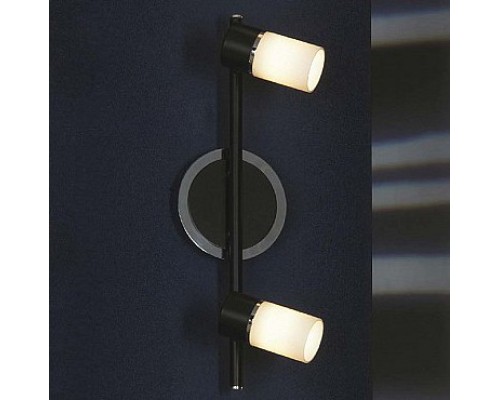 Спот Lussole Siliqua