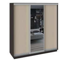 Шкаф-купе Румер СШК 1.210.70-11.13.11