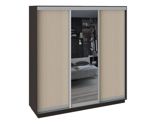 Шкаф-купе Румер СШК 1.210.70-11.13.11