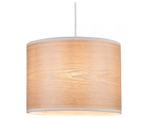 Подвесной светильник Paulmann Neta 79630