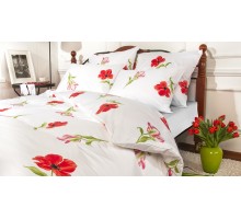 Постельное белье полутораспальное Spring melody red