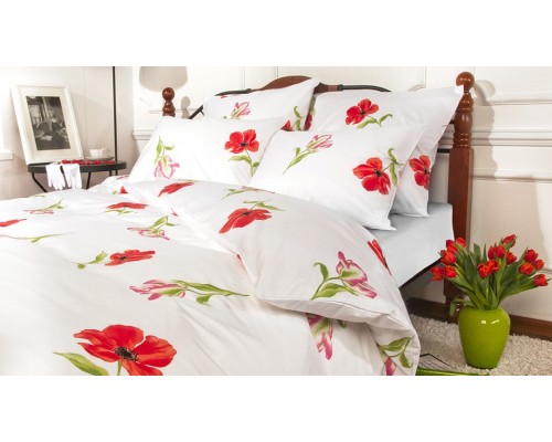 Постельное белье полутораспальное Spring melody red