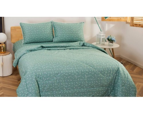 Постельное белье с одеялом евростандарт Дарси №67