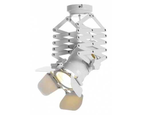 Светильник на штанге Loft it Cinema LOFT3096-S