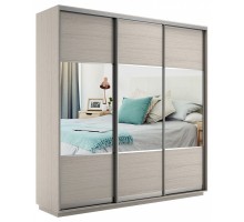 Шкаф-купе Экспресс Комби трио