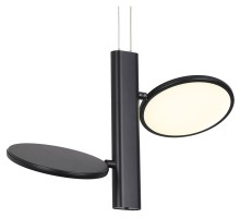 Подвесной светильник Lussole Aberdeen 