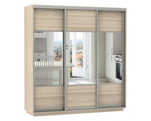 Шкаф-купе Экспресс Комби Трио 1800x600x2200