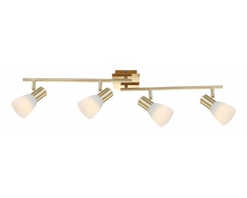 Спот Globo Raider I 54538-4