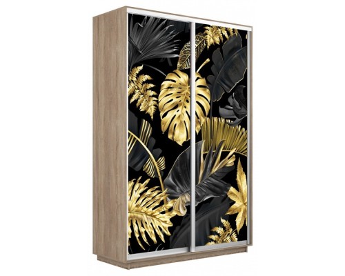 Шкаф-купе Экспресс Фото дуо 1003 1600x450x2400