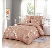 Постельное белье евростандарт Сиам