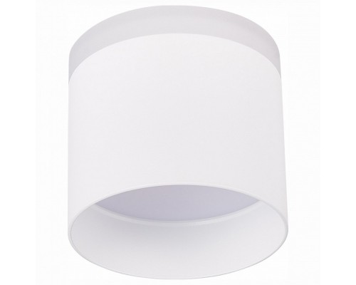 Накладной светильник ST-Luce Panaggio