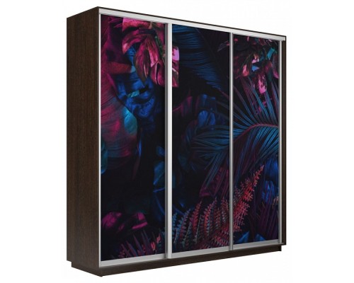 Шкаф-купе Экспресс Фото трио 1004 2400x600x2400