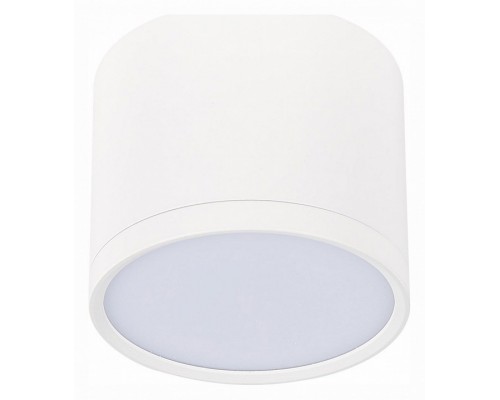 Накладной светильник ST-Luce Rene