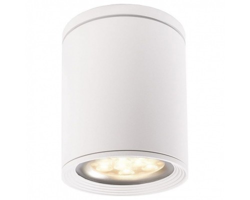 Накладной светильник Deko-Light Tubor 348015