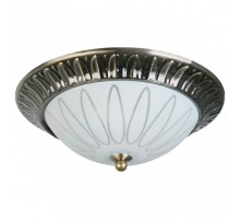 Накладной светильник TopLight Paulina TL5050Y-02AB