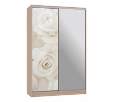 Шкаф-купе Гранд 9-600 розы