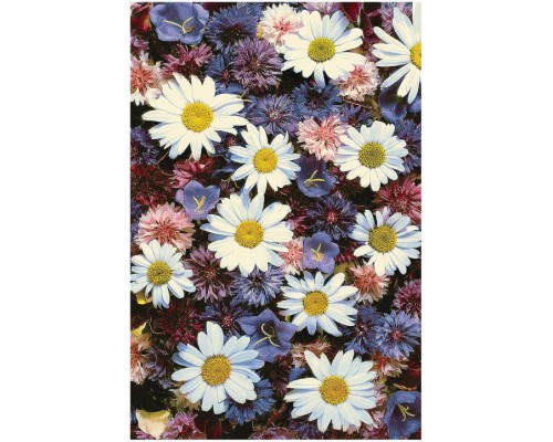 Ковер интерьерный (200x300 см) Hunnu