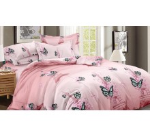 Постельное белье евростандарт Art Color 043-AC