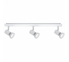 Спот Paulmann Teja 66704