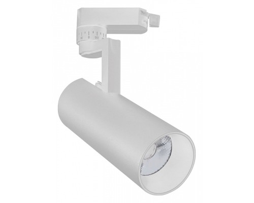 Светильник на штанге Escada 20029 20029TRA/02LED SWH