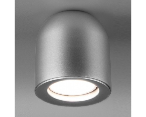 Накладной светильник Elektrostandard DLN116 a050674