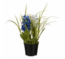 Растение в горшке (32 см) Гиацинт 654-191