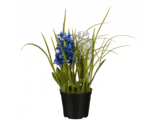 Растение в горшке (32 см) Гиацинт 654-191