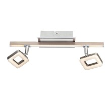 Спот Globo Salloa 56112-2