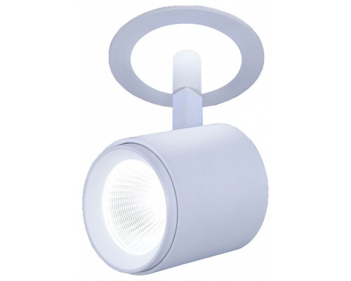 Спот Elektrostandard DSR002 a039152