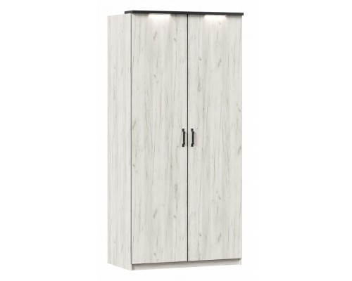 Шкаф платяной Техно ЛД 678.131.000.008